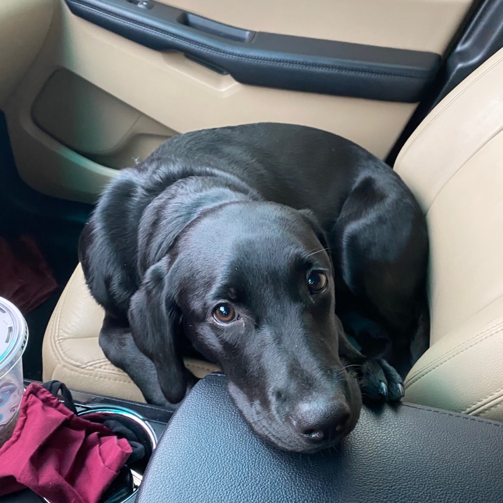 Meet your Posher, Michael